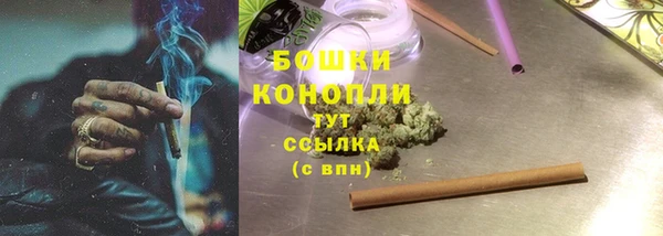 прущие грибы Пестово
