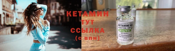 дмт Пересвет