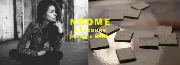 прущие грибы Пестово
