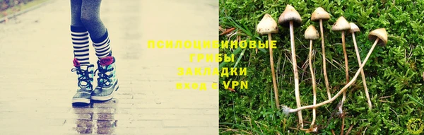дмт Пересвет