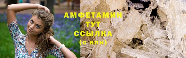 прущие грибы Пестово