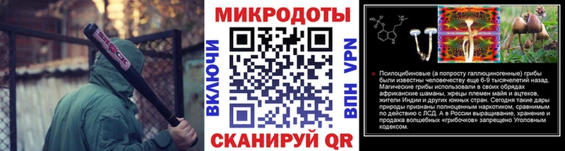 Галлюциногенные грибы Psilocybe  Купить  Жиздра 